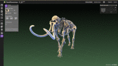 Woolly Mammoth. Source: http://3d.si.edu/